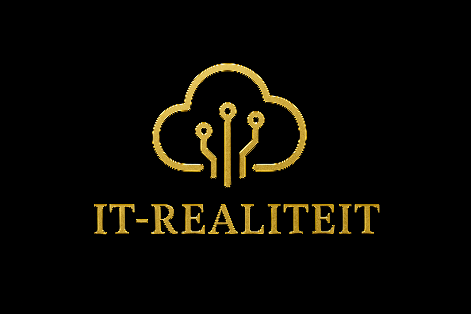 IT-Realiteit Rinze van Doodewaard